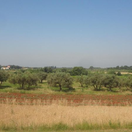 Apartments Zdravac Ουμάγκ Εξωτερικό φωτογραφία