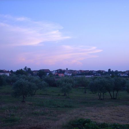 Apartments Zdravac Ουμάγκ Εξωτερικό φωτογραφία
